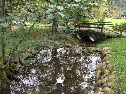 2014-10-11 132 Hausach Vogtsbauernhof