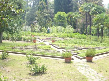 2015-07-09 Sochi, hôtel Rodina 005