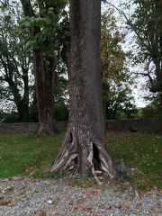2015-10-03 Châtau de Virieu 077