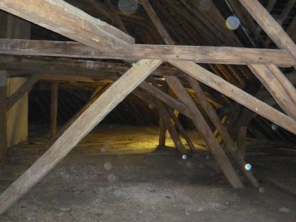 2015-08-14&15 Château de Saint-Fargeau 054